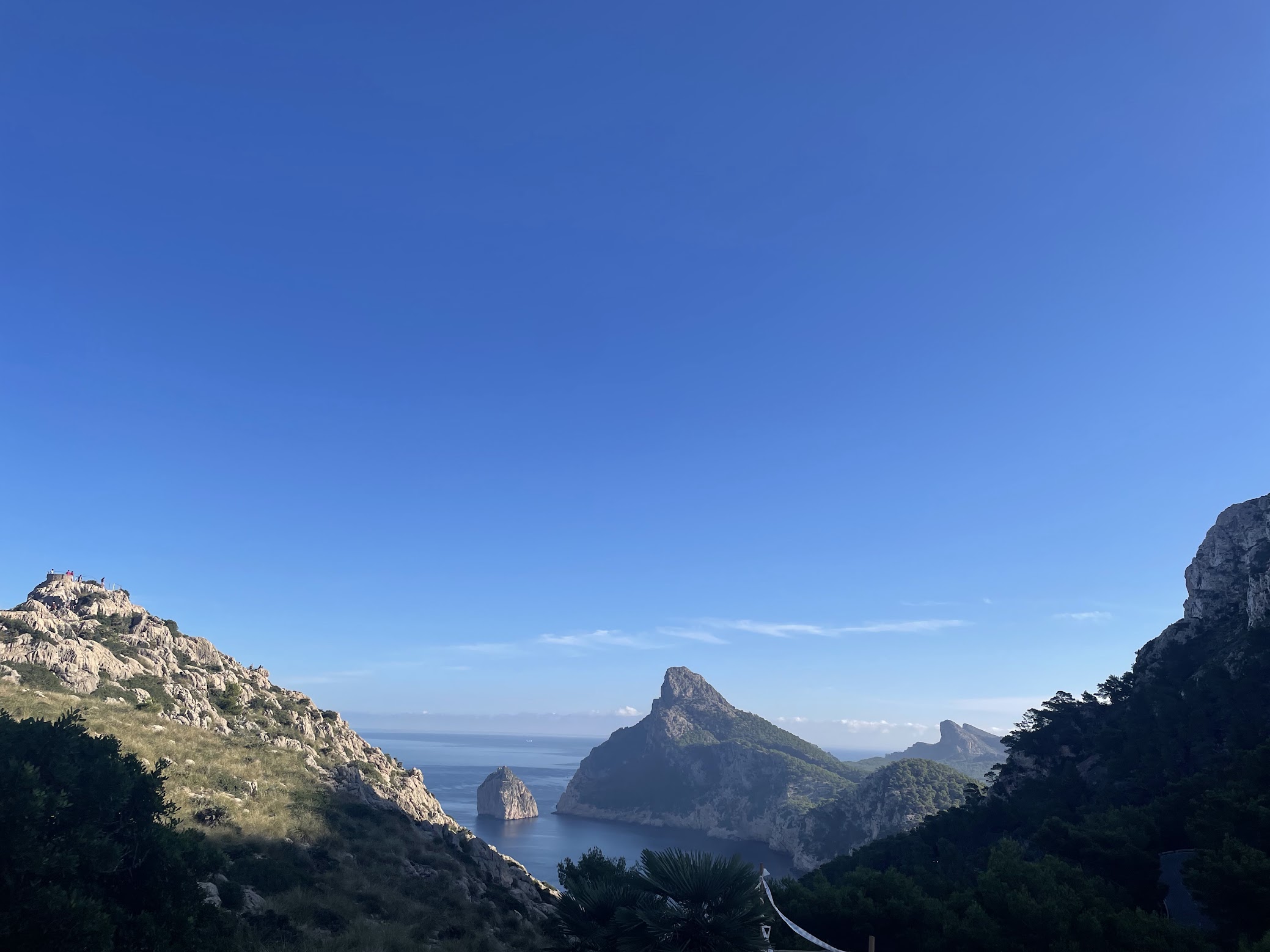 view